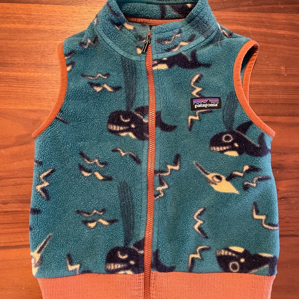 Patagonia Synchilla toddler vest